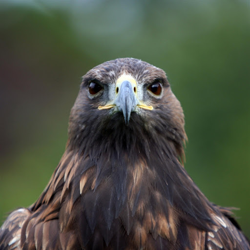 Hd-147711-ascw147711