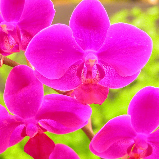 Hd-132330-ascw132330