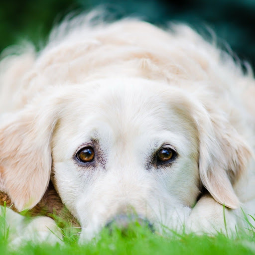 Hd-143724-ascw143724