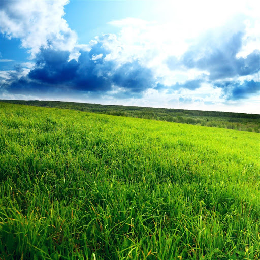 Hd-179318-ascw179318