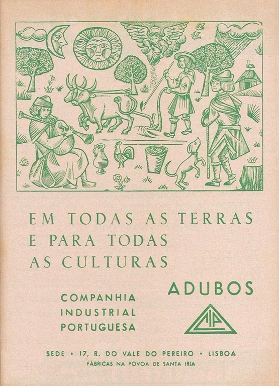 [C-Industrial-Portuguesa.1213.jpg]