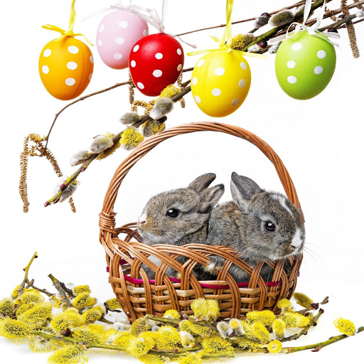 Hd-132585-ascw132585