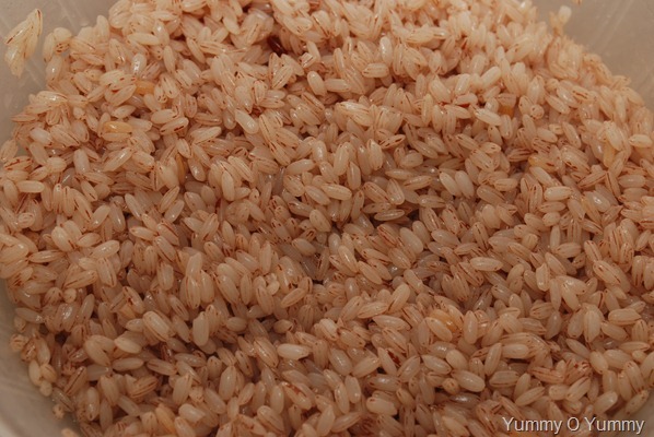 [DSC_0389%255B6%255D%255B2%255D.jpg]