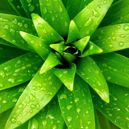 Hd-132883-ascw132883