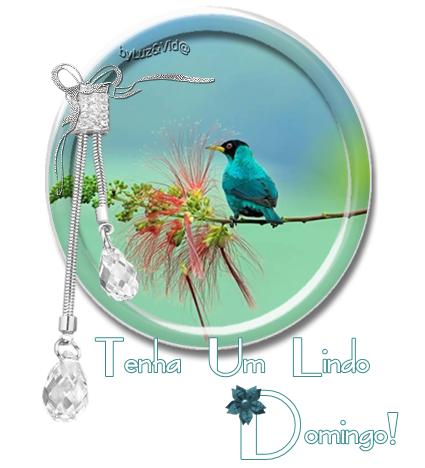 domingo06%252528MB%252529maryluz.png