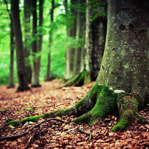 Hd-143365-ascw143365