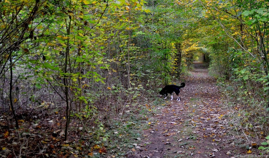 [DSC_0008%255B3%255D.jpg]