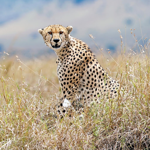 Hd-141149-ascw141149