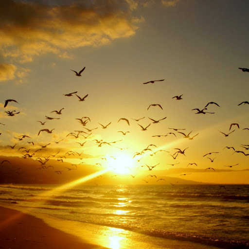 Hd-174948-ascw174948