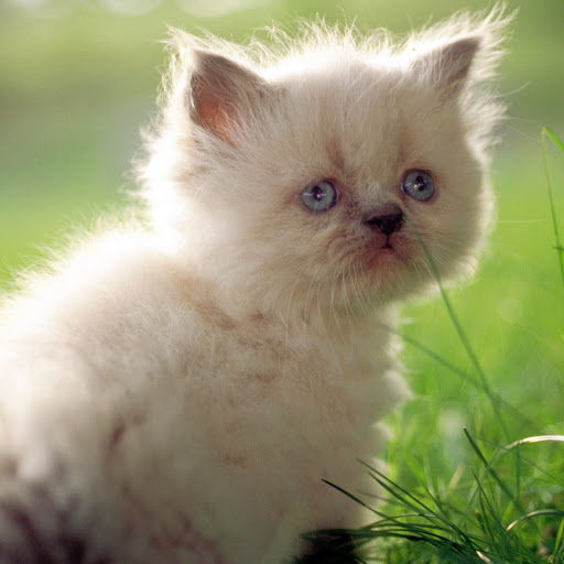 Hd-146584-ascw146584