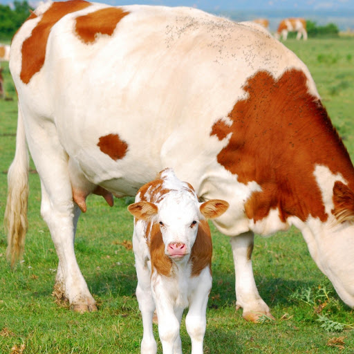 Hd-164138-ascw164138