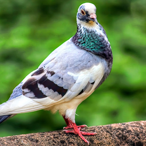 Hd-147232-ascw147232