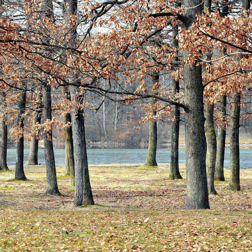 Hd-157061-ascw157061