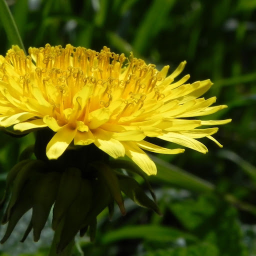 Hd-171100-ascw171100