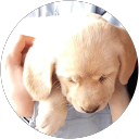 Image Google de Sandrine COMTE