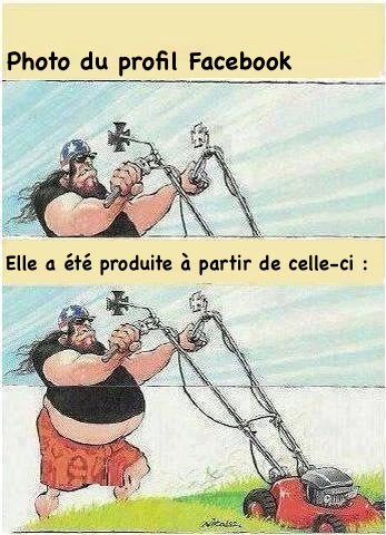 esprit mal placé Profil+Facebook