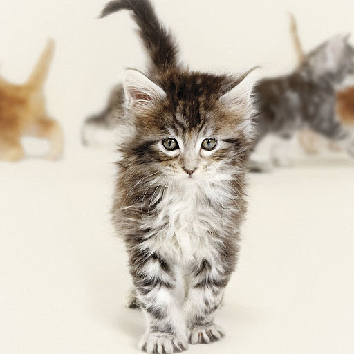 Hd-136579-ascw136579