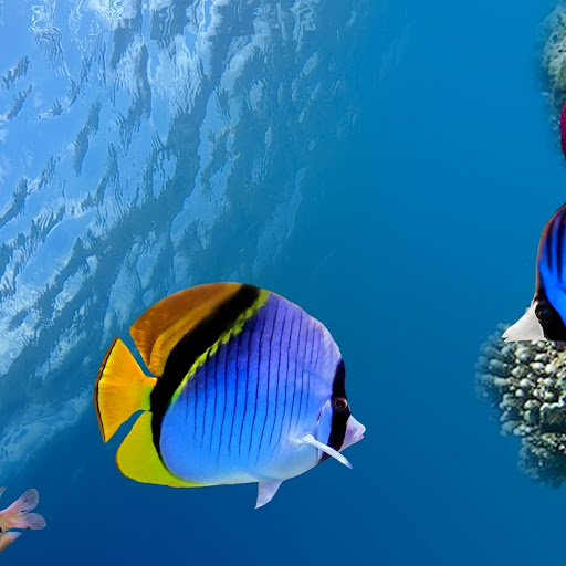 Hd-190483-ascw190483