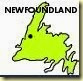 newfoundland1