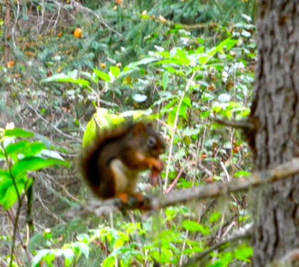 DSCN0266.jpg DSCN0266
