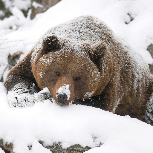 Hd-180372-ascw180372