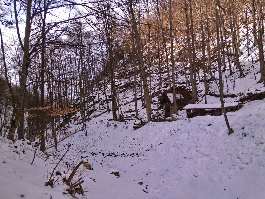 [P10004433.jpg]