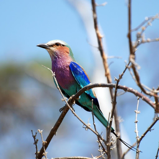 Hd-179033-ascw179033