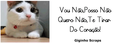 voun%2525C3%2525A3o.png