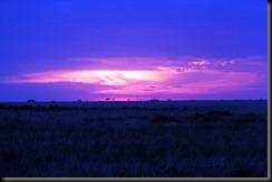 October 18 2012 Serengeti Sunset