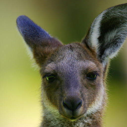 Hd-159582-ascw159582