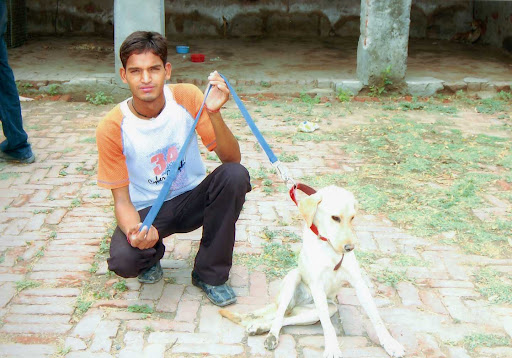 Picasa Web Albums Animal Medical Ca India People 
