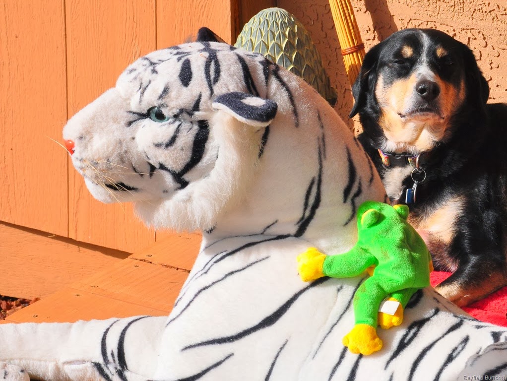 [DSC_0010%255B6%255D.jpg]