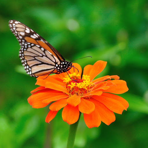 Hd-141102-ascw141102