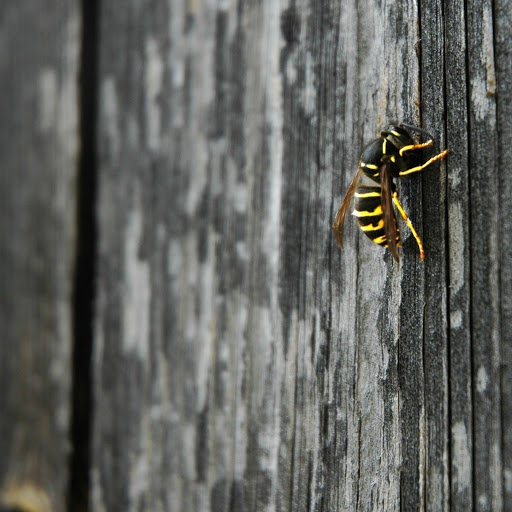 Hd-146634-ascw146634