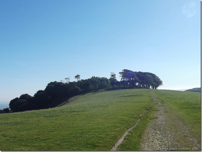 chanctonbury rings