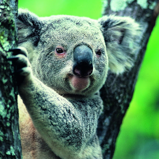 Hd-182061-ascw182061