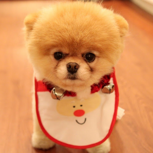 Hd-132125-ascw132125