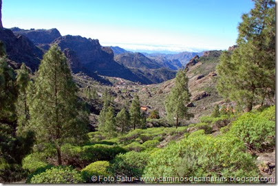 7422 La Goleta_la Candelilla(Ayacata) 7422 La Goleta_la Candelilla(Ayacata)