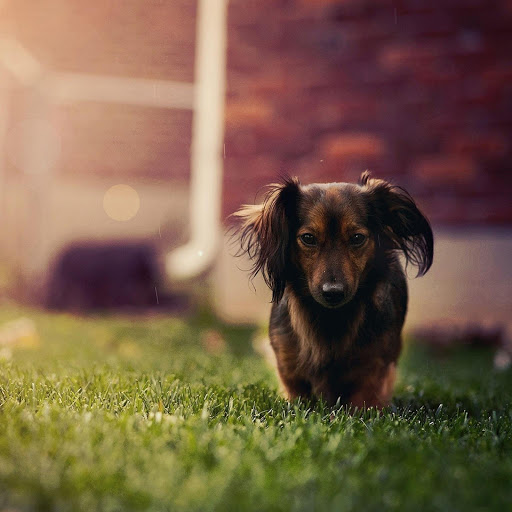 Hd-137472-ascw137472