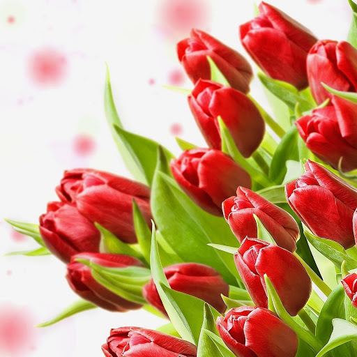 Hd-149324-ascw149324