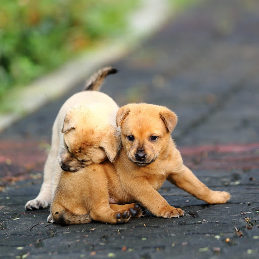 Hd-166182-ascw166182