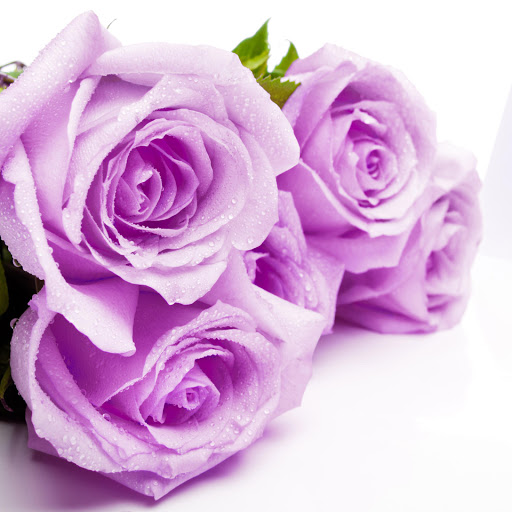 Hd-177680-ascw177680