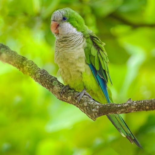 Hd-190562-ascw190562