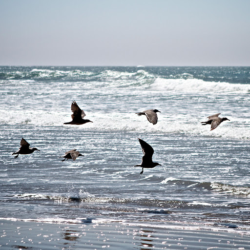 Hd-164876-ascw164876