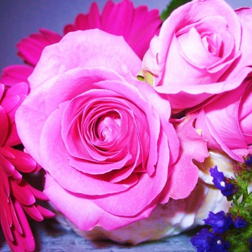 Hd-183351-ascw183351