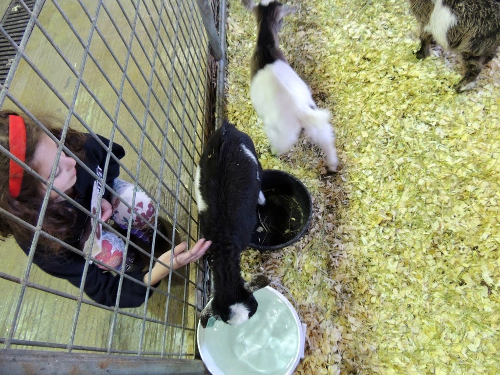 [DSCN8812%255B3%255D.jpg]