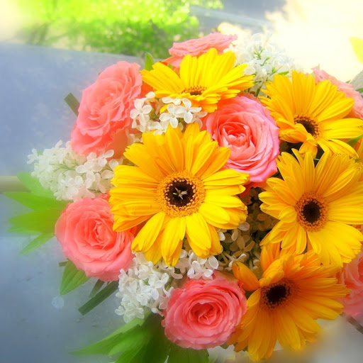 Hd-171984-ascw171984