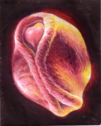 Neurula embrion pictura neurulatio embryo painting