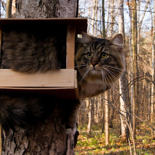 Hd-182412-ascw182412