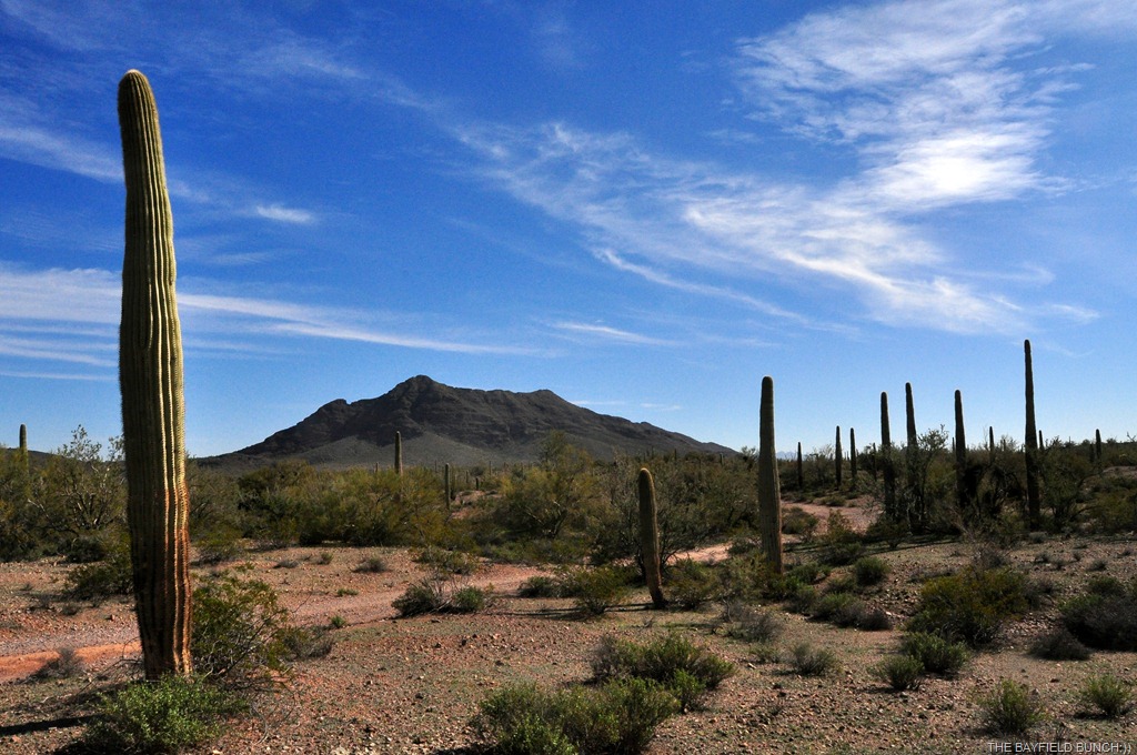 [DSC_0061%255B5%255D.jpg]